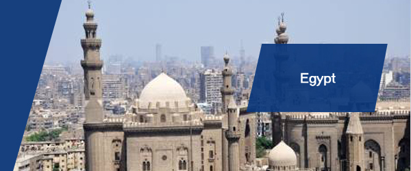 contact Egypt