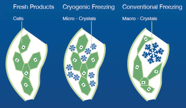 Cryogenic Food Freezing